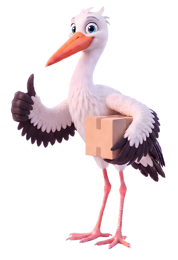 The backinstork stork carrying a parcel